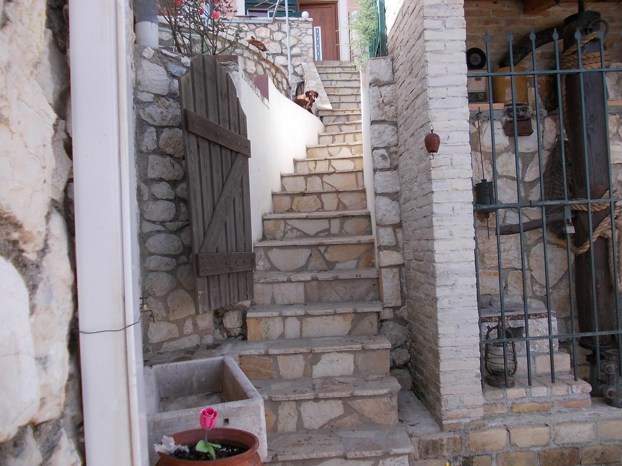 Sarakinos Apartments バルバティ エクステリア 写真