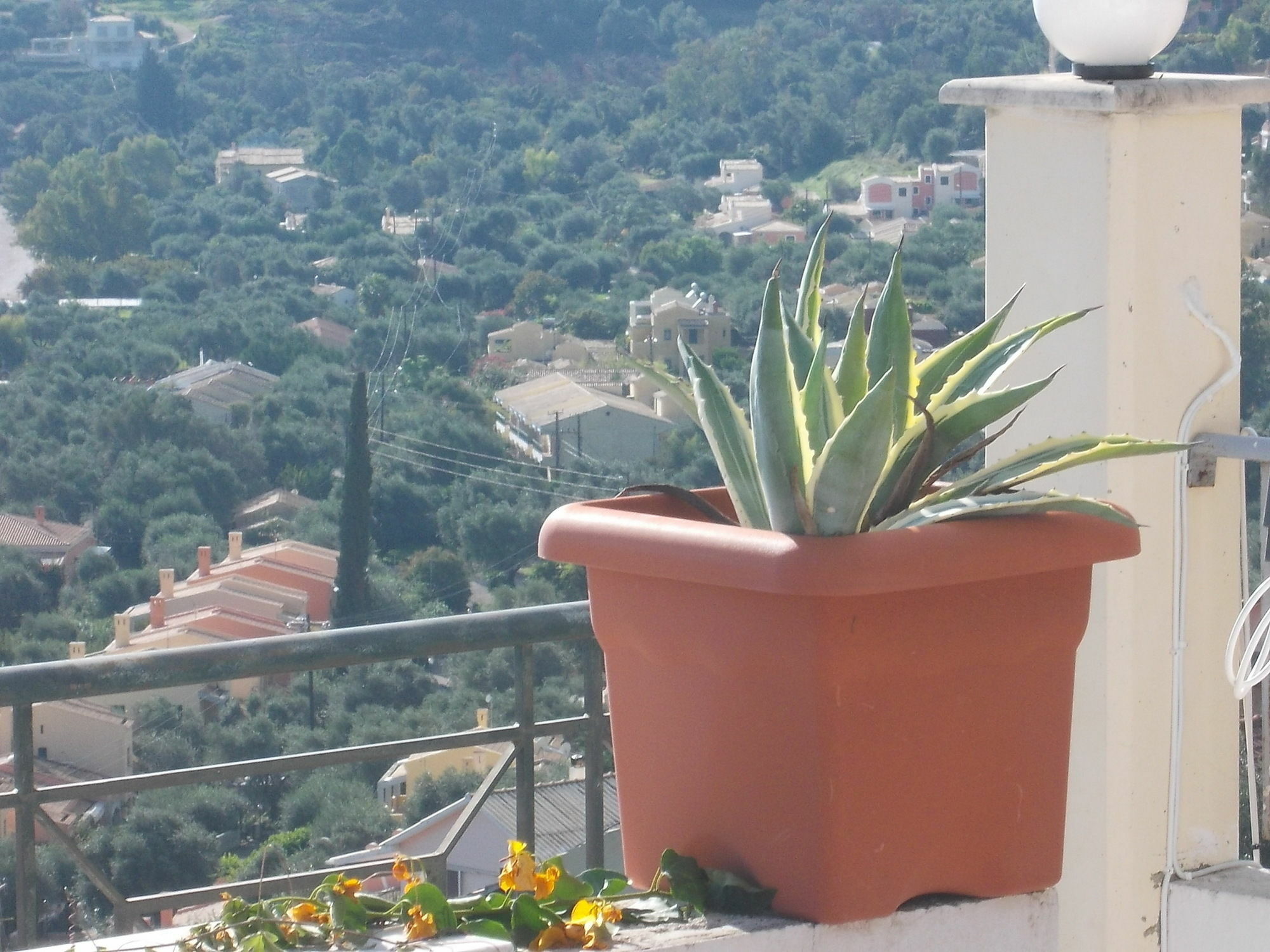 Sarakinos Apartments バルバティ エクステリア 写真
